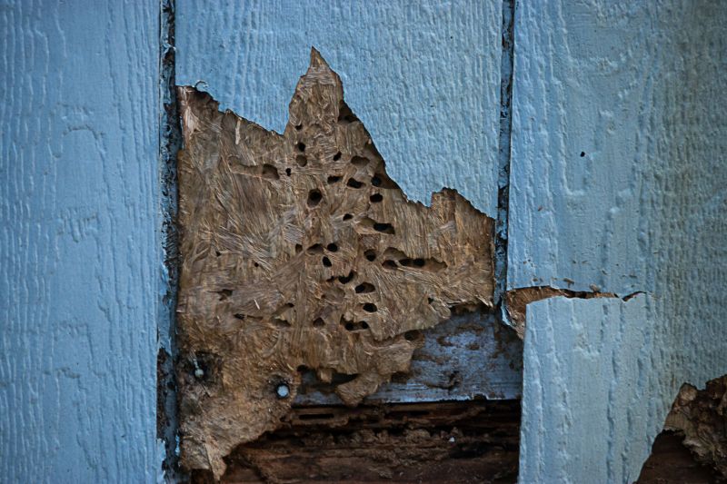 Removing old wood siding